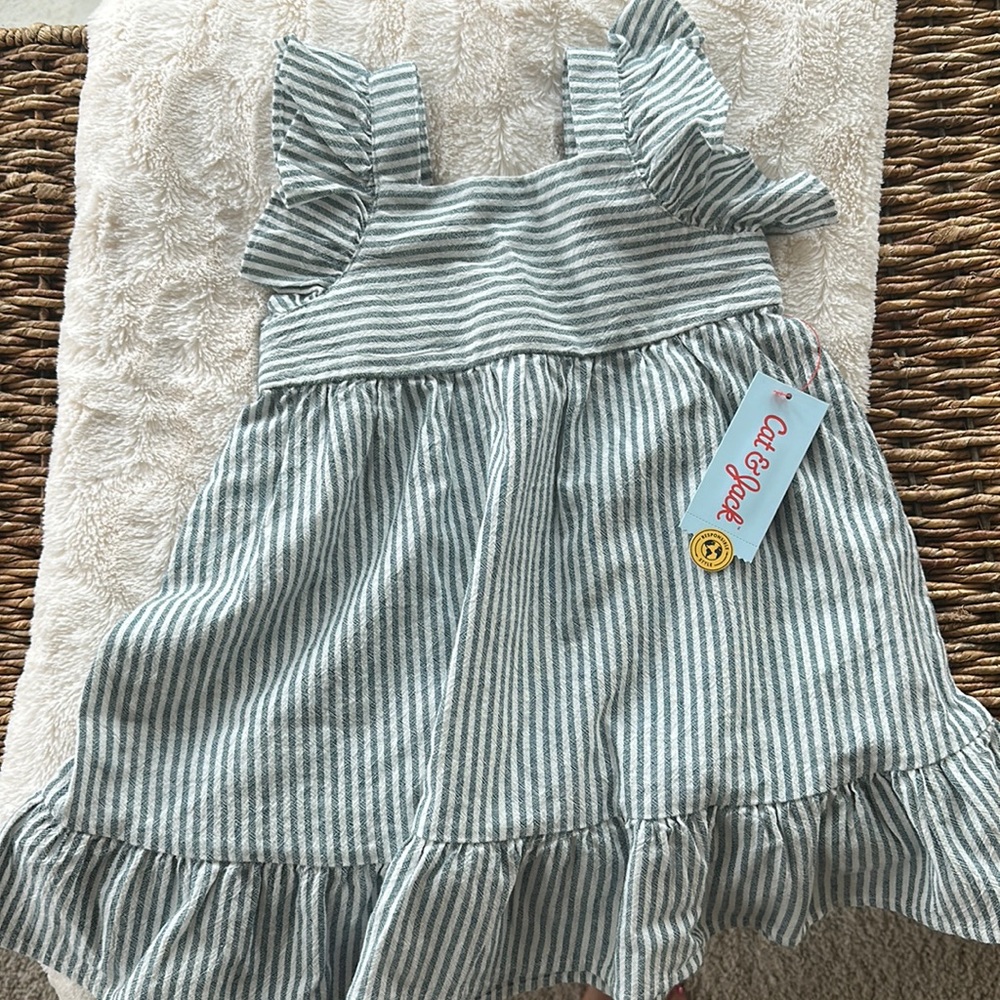 Girl’s 3T Dress NWT!
